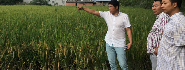 1506736979461717.png 圖片4.png