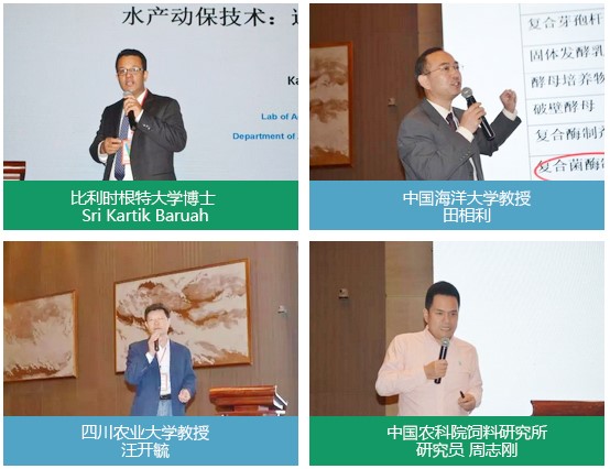 1507972127673148.jpg 33.jpg