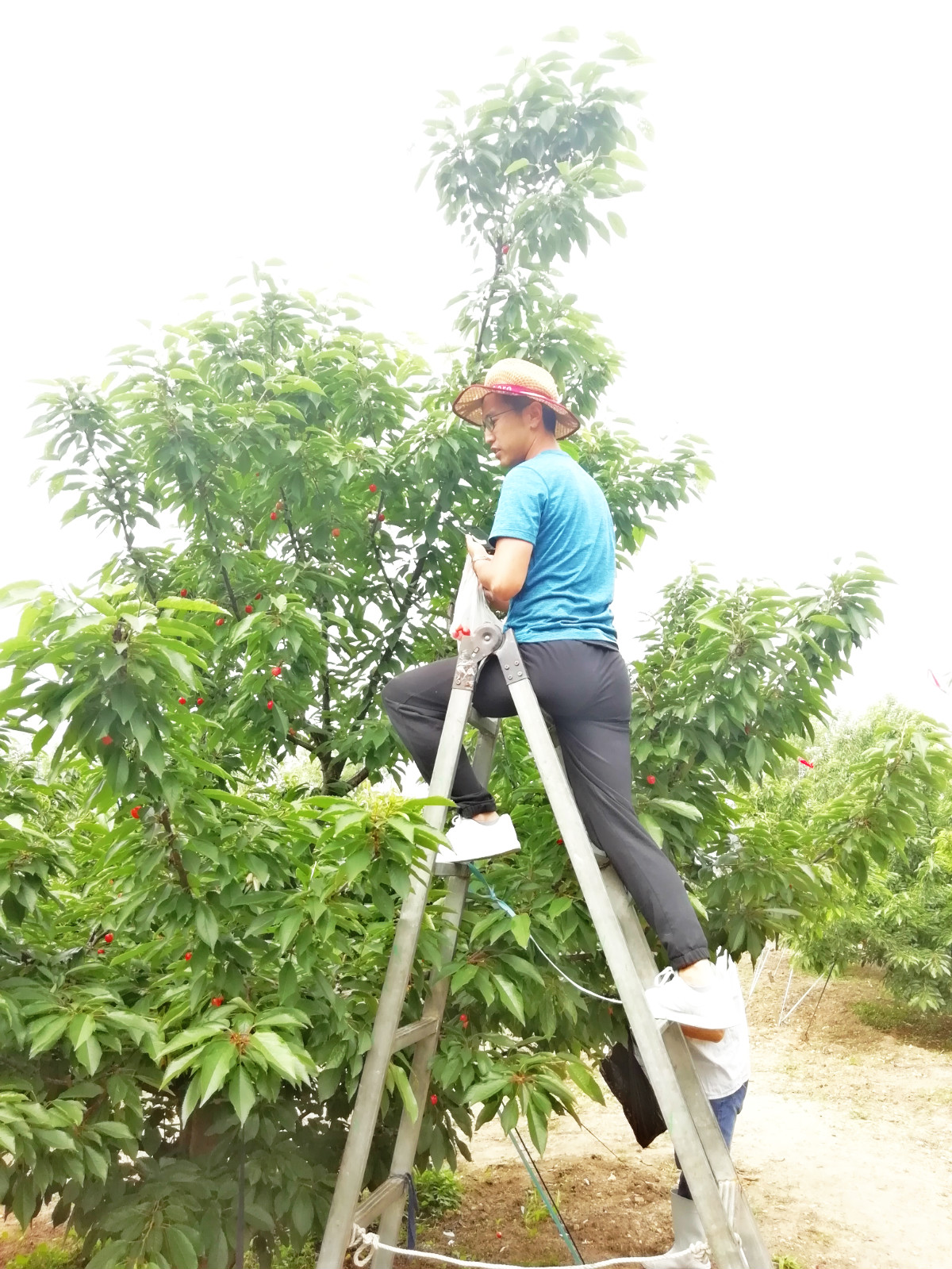 1528425266295531.jpg 微信圖片_201806081001506_meitu_1.jpg