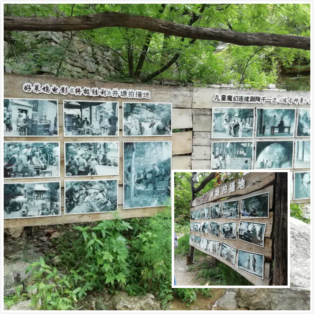 1528426079550622.jpg DSC_0202_meitu_4.jpg