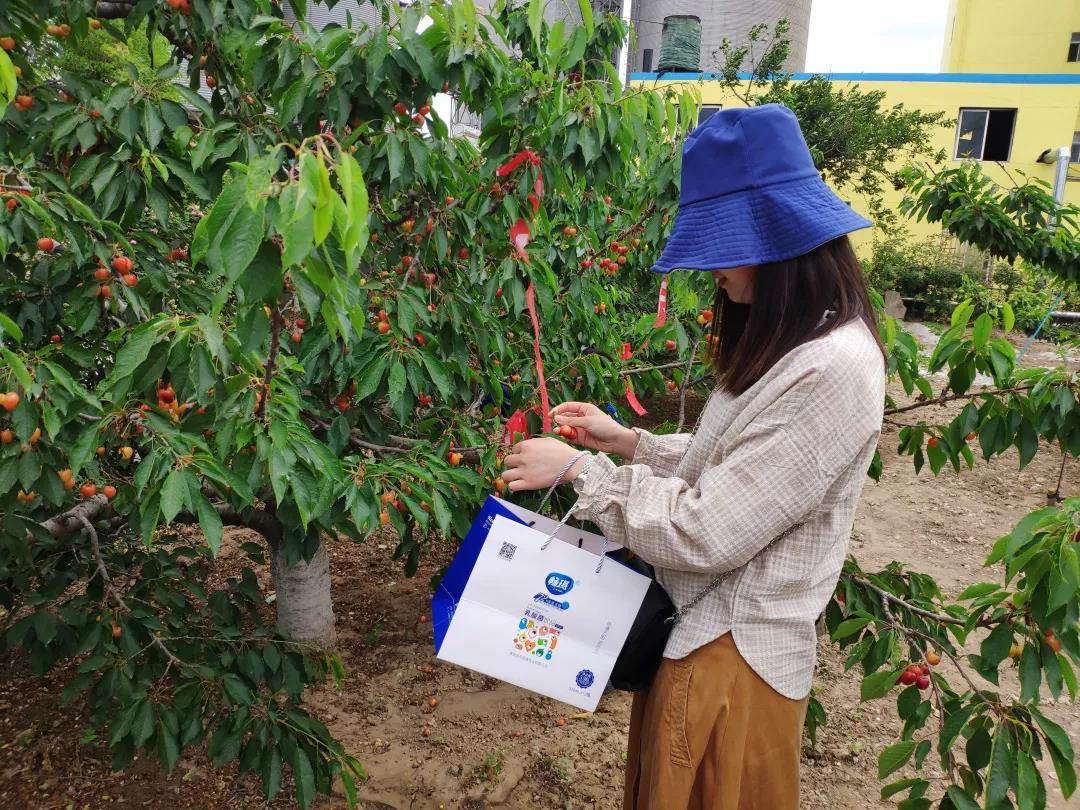 1562119677636306.jpg 3.jpg