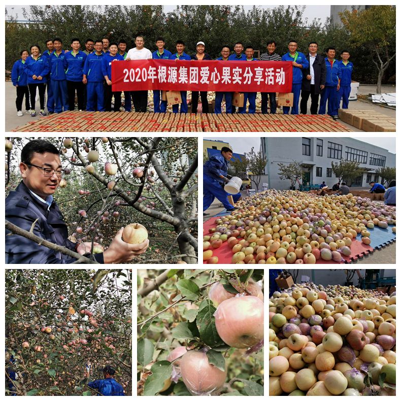 1604562898719275.jpg NeoImage_副本.jpg