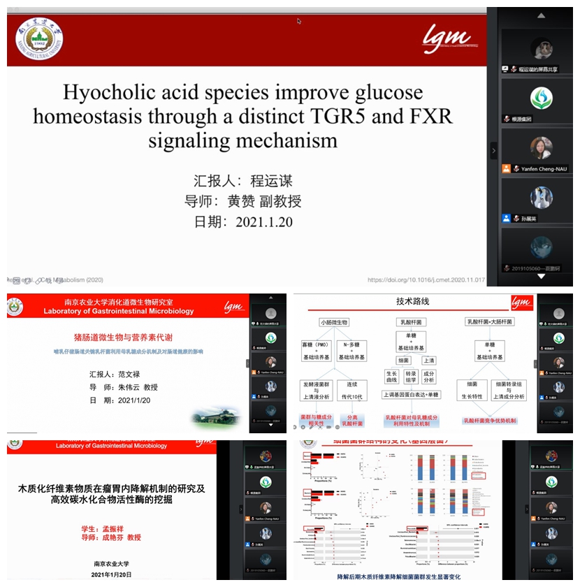 1611730004341780.jpg 光影魔術(shù)手拼圖.jpg
