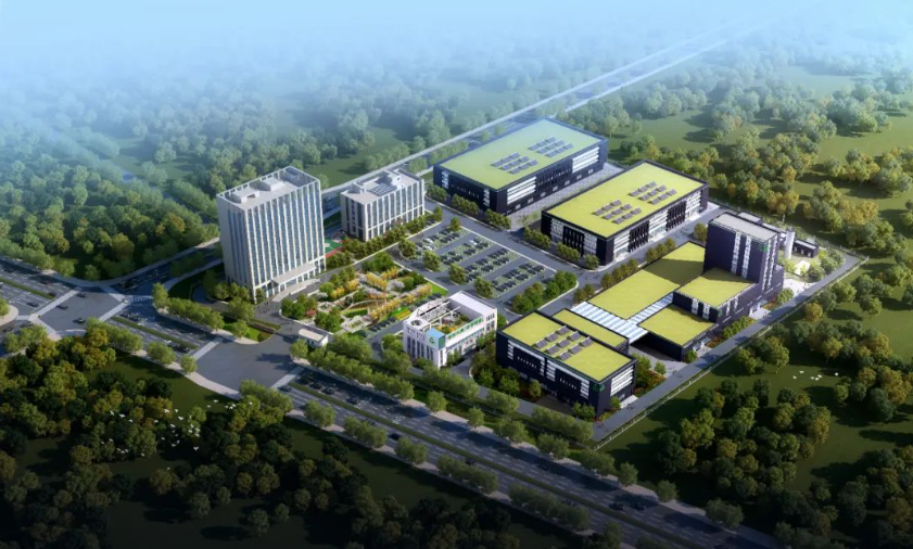 1692326857834111.jpg 1692326846132.jpg